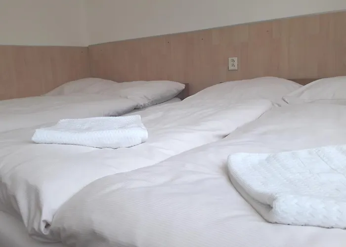 旅馆 Sokol Troja *